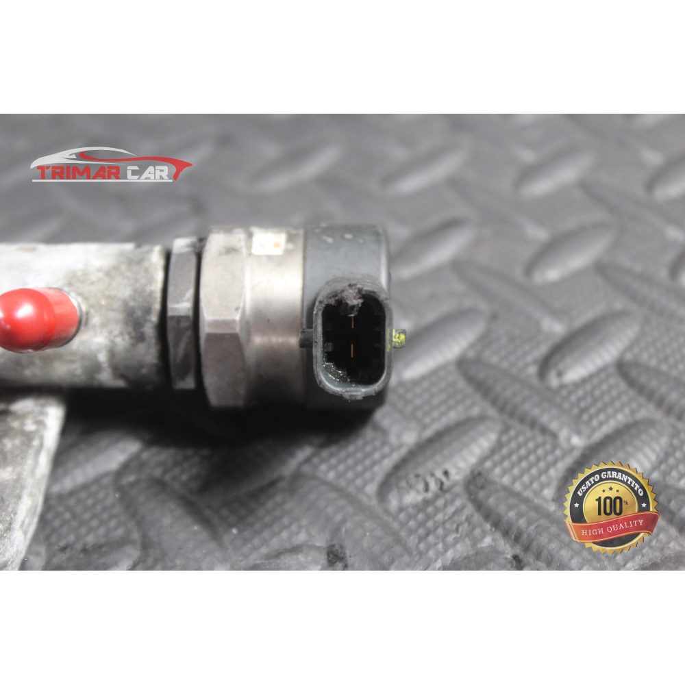 9670890580 TUBO FLAUTO RAIL INIEZIONE LAND ROVER FREELANDER 2 (L359)(06-14) 2.2 TD4 COD MOT: 224DT