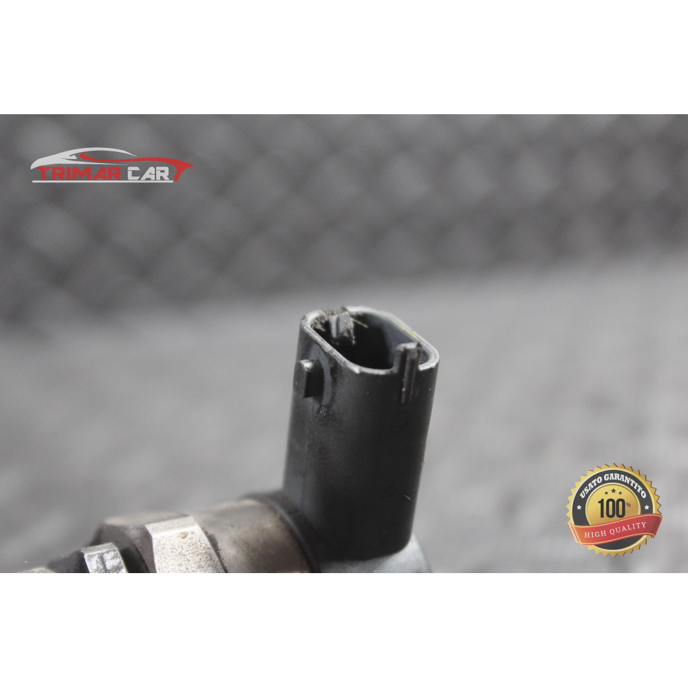 9670890580 TUBO FLAUTO RAIL INIEZIONE LAND ROVER FREELANDER 2 (L359)(06-14) 2.2 TD4 COD MOT: 224DT