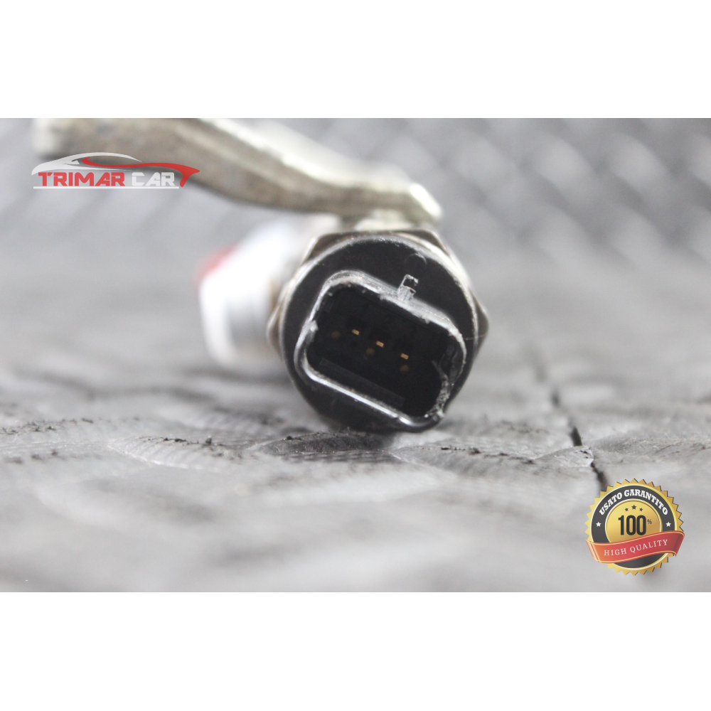 9670890580 TUBO FLAUTO RAIL INIEZIONE LAND ROVER FREELANDER 2 (L359)(06-14) 2.2 TD4 COD MOT: 224DT