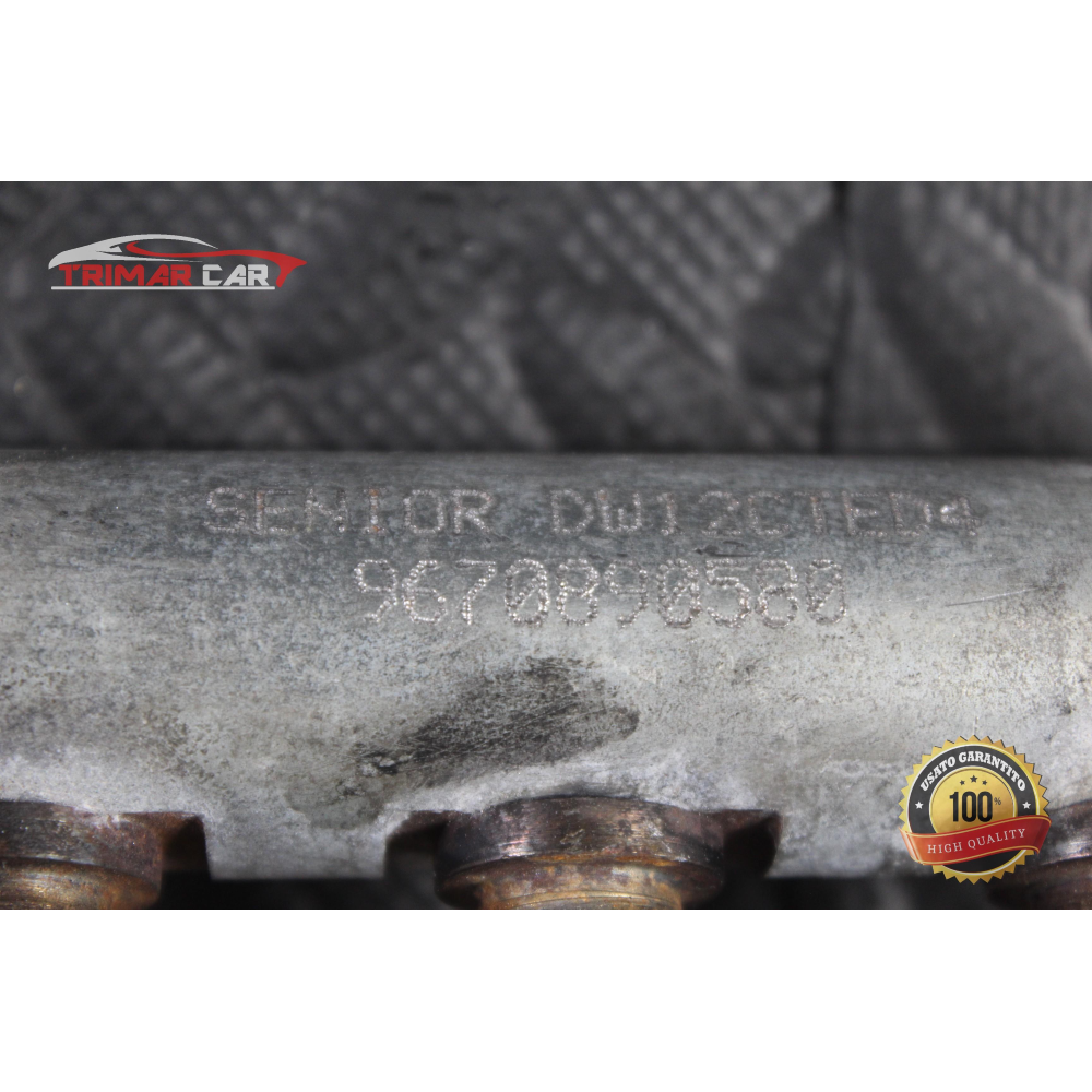 9670890580 TUBO FLAUTO RAIL INIEZIONE LAND ROVER FREELANDER 2 (L359)(06-14) 2.2 TD4 COD MOT: 224DT