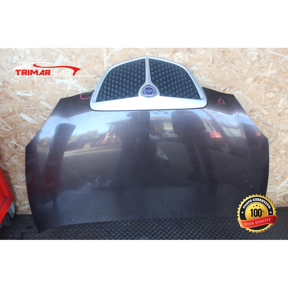 COFANO ANTERIORE LANCIA YPSILON 2 (843)(2003-2011) 1.3MJET 75CV 55KW COD MOT; 199A2000