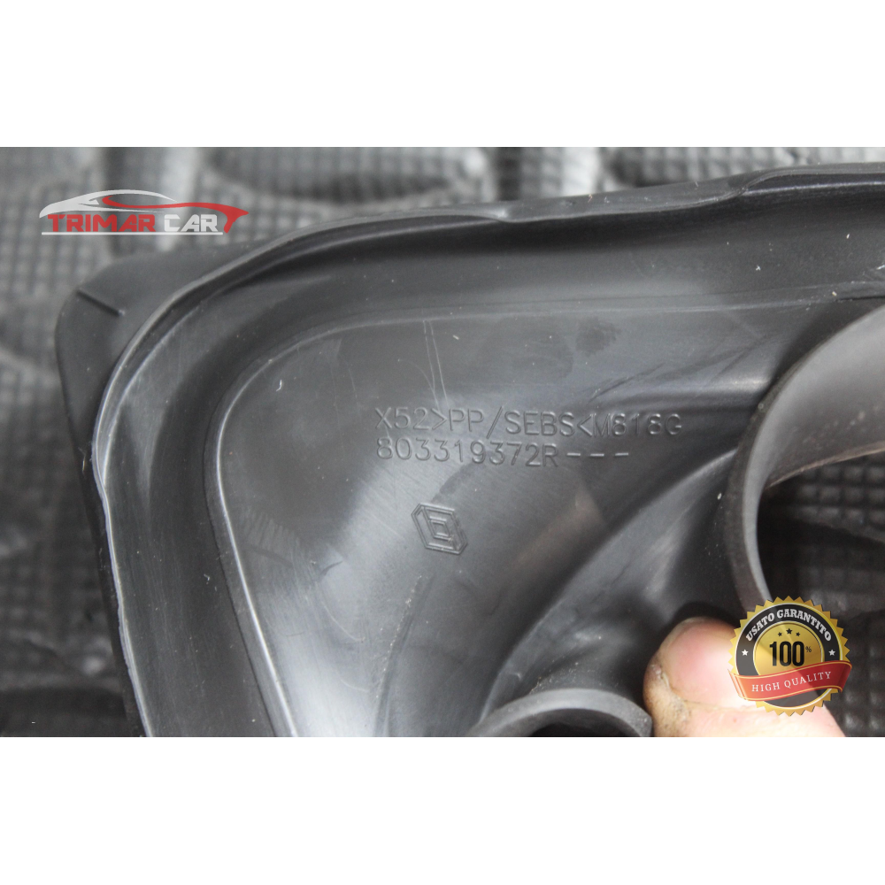 803319372R GUARNIZIONE SPORTELLO ANTERIORE SINISTRA DACIA SANDERO 2 (2012 >) 1.0 Sce 75 73CV 54KW B4D B4