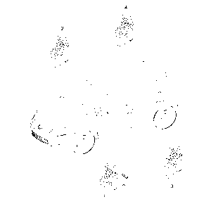 MECCANISMO ALZACRISTALLI ANTERIORE DESTRO VW POLO (6R 6C) [09-17] 6R0959802AD