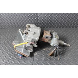 BLM035  PIANTONE SERVOSTERZO ELETTRICO PIAGGIO PORTER MAXXI 1.3 2010 IN POI