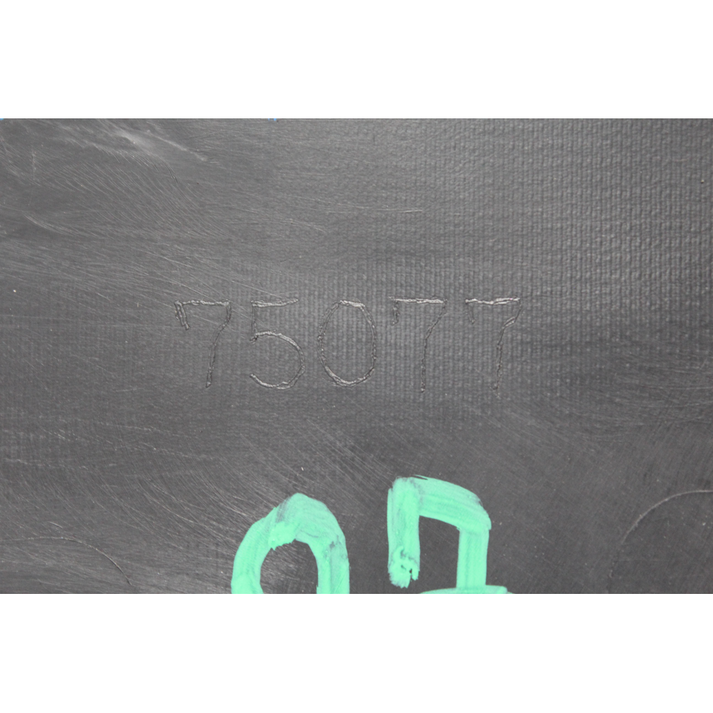 MODANATURA SPORTELLO POSTERIORE DESTRA ESTERNA TOYOTA C-HR (2016>) 1.8 HYBRID 2ZR-FXE