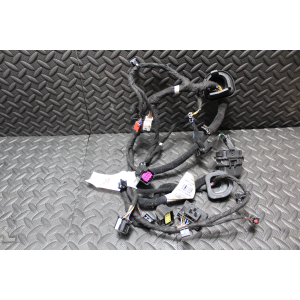 50551855 CAVI CABLAGGIO PORTA ANTERIORE SINISTRA ALFA ROMEO STELVIO (949)(2016 >) 2.2 JTDM Q4 190CV 132KW 46346359