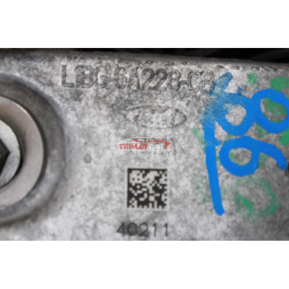 L1BG-6A228-CB TENDICINGHIA CINGHIA SERVIZI FORD PUMA (J2K, CF7)(2019>) 1.0 EcoBoost 125CV 92KW B7JB "2020"