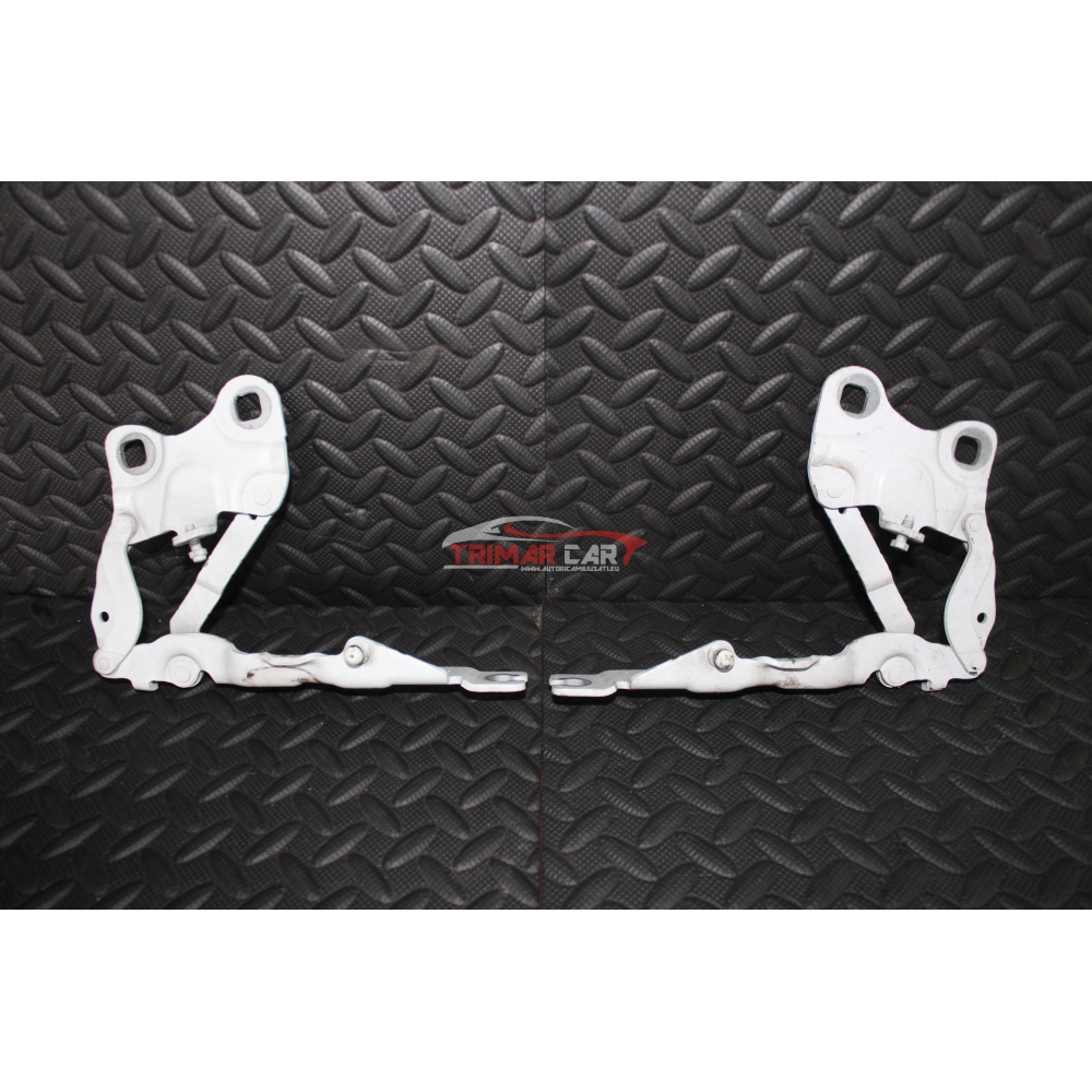 51239805937 KIT CERNIERE CERNIERA COFANO ANTERIORE  MINI COUNTRYMAN (R60)(10-16) 1.6D N47C16A