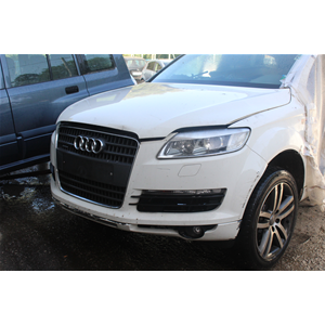 SUPPORTO MOTORE AUDI Q7 (4L) [2005-2015] 3.0 TDI V6 (176KW) 240CV 24V 7L8199131A