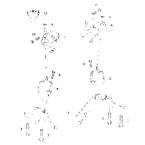 SUPPORTO MOTORE AUDI Q7 (4L) [2005-2015] 3.0 TDI V6 (176KW) 240CV 24V 7L8199131A