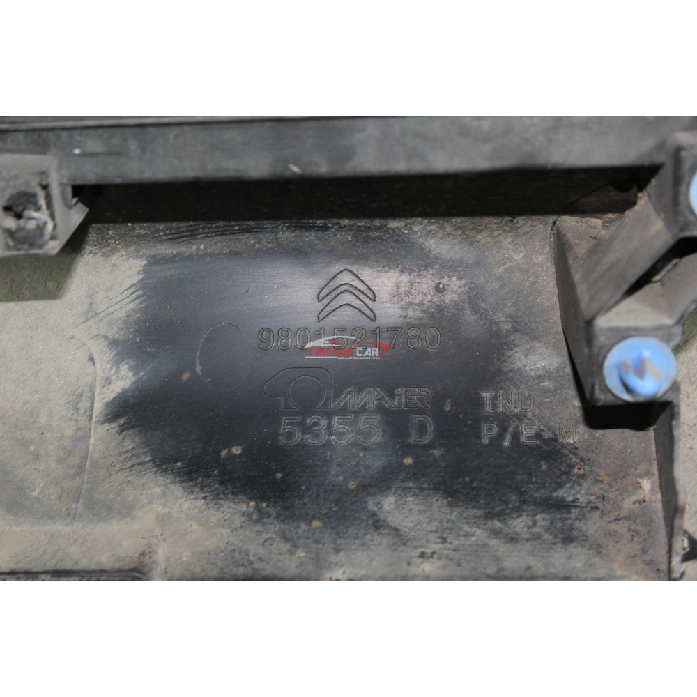 9801521780 COPPIA MINIGONNE SOTTOPORTA LATERALI CITROEN C4 CACTUS (2014 >)