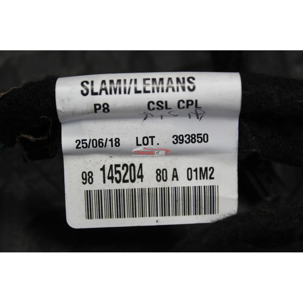 9814520480 CAVO CAVI CABLAGGIO TUNNEL PEUGEOT 3008 SUV (2016 >) 2.0 BlueHDi 180 177CV 130KW AH01 // EHZ