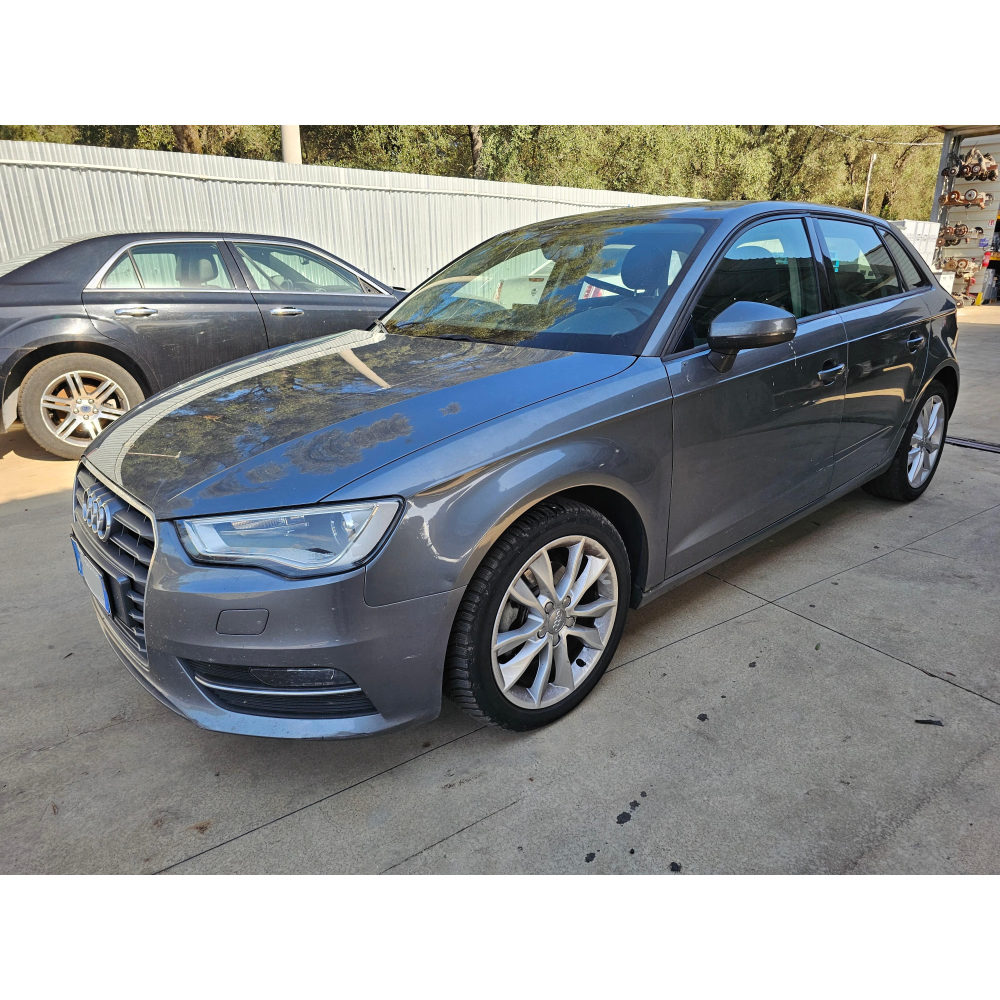 8V4839901B MODANATURA SPORTELLO POSTERIORE SINISTRO AUDI A3 SPORTBACK (8VA,8VF)(2015) 1.6 TDI 110CV 81KW CXXB