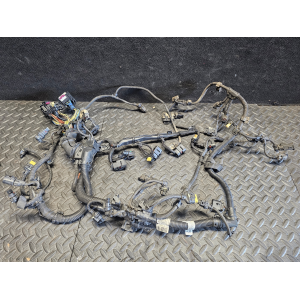 8580159 12518476479  CAVO CAVI CABLAGGIO MOTORE BMW X1 (F48)(2014>) XDRIVE18D 110KW 150CV B47C20B