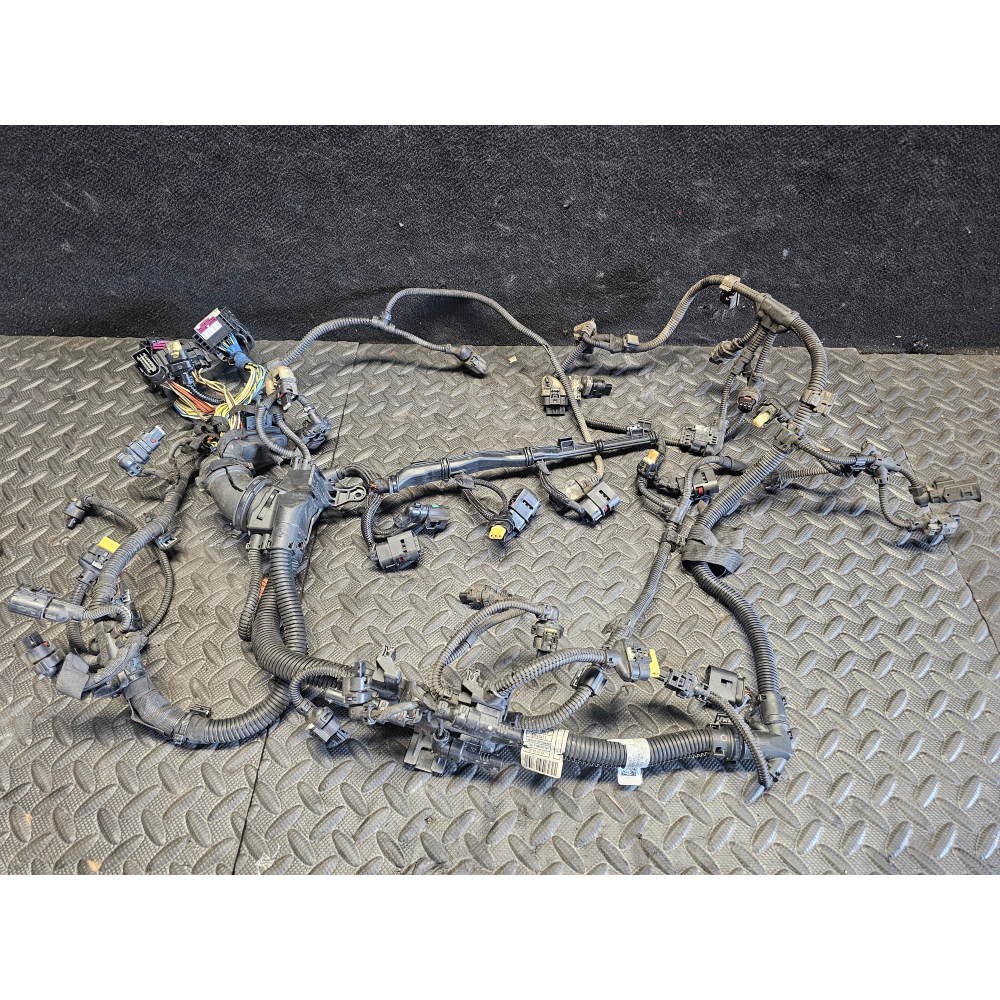 8580159 12518476479  CAVO CAVI CABLAGGIO MOTORE BMW X1 (F48)(2014>) XDRIVE18D 110KW 150CV B47C20B