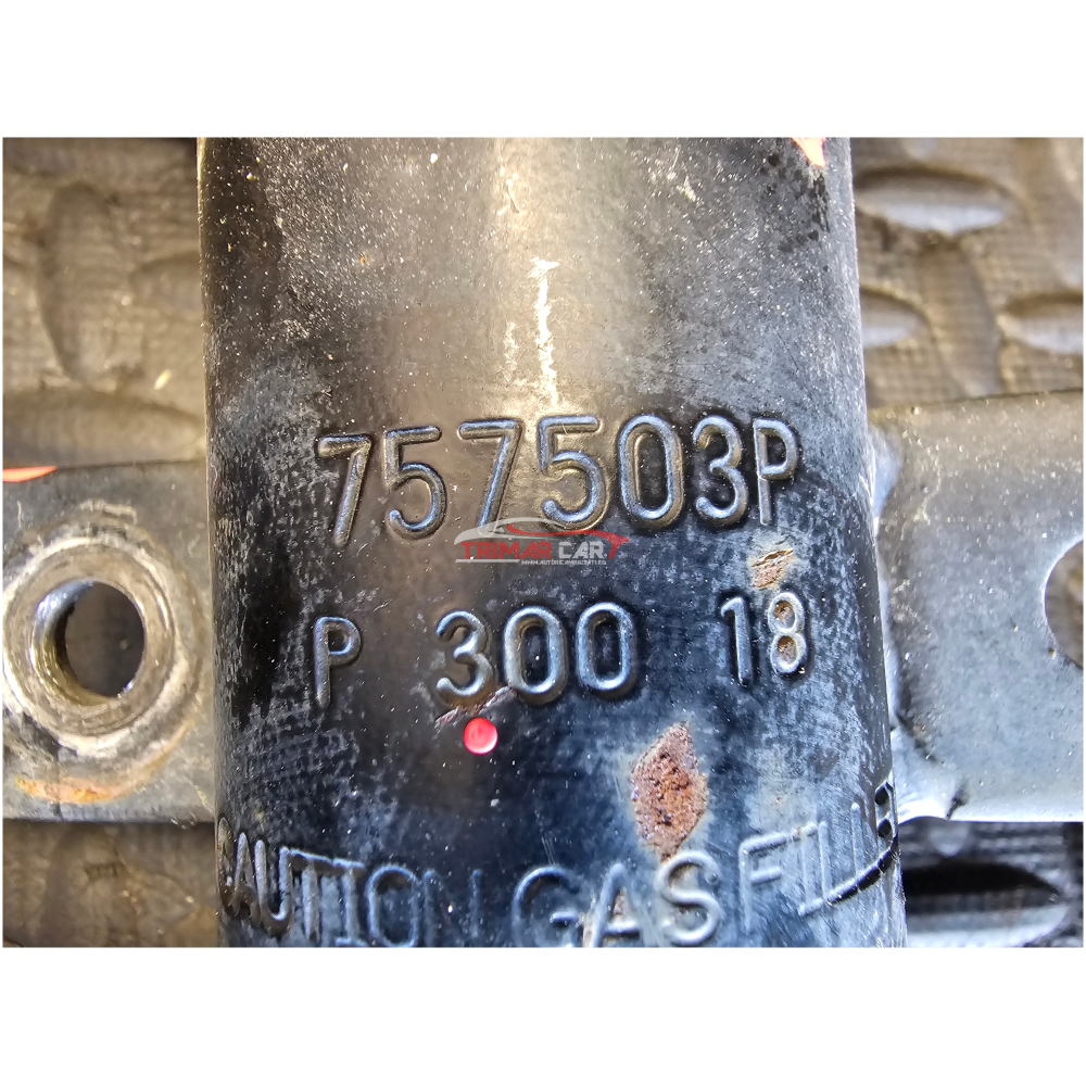 757503P COPPIA AMMORTIZZATORI ANTERIORI DX SX NISSAN QASHQAI 2 II (J11,J11)(2013>)