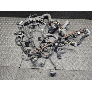 12518514840 12517823755 CAVO CAVI CABLAGGIO MOTORE F10 BMW SERIE 5 TOURING (F11)(2009-2017)