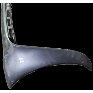 PARAFANGO DESTRO+ PARAURTI POSTERIORE SMART CITY-COUPE (450)(02-07) (450)