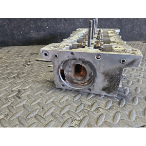 55571949 TESTATA MOTORE  OPEL INSIGNIA A (G09)(2008 >) 2.0 CDT 16V A20DTH SPIANATA*