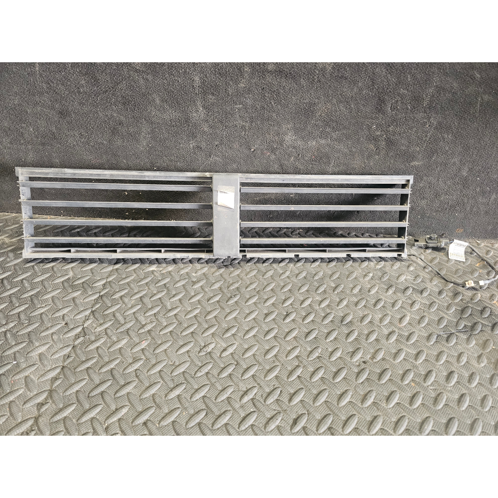 9319917 9319918 GRIGLIA ANTERIORE RADIATORE MINI COUNTRYMAN (R60)(10-16)