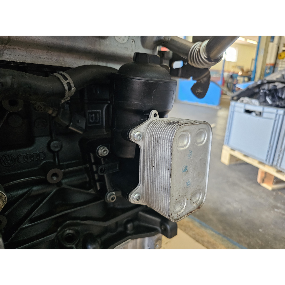 03L117021C 03L115389C SCAMBIATORE CALORE RADIATORE OLIO AUDI A4 VW GOLF VI 2.0TDI