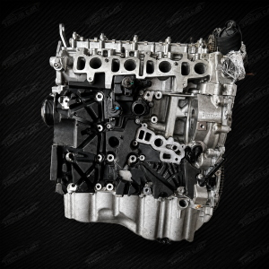 B47D20A MOTORE REVISIONATO NUDO BMW 2.0D CATENA NUOVA