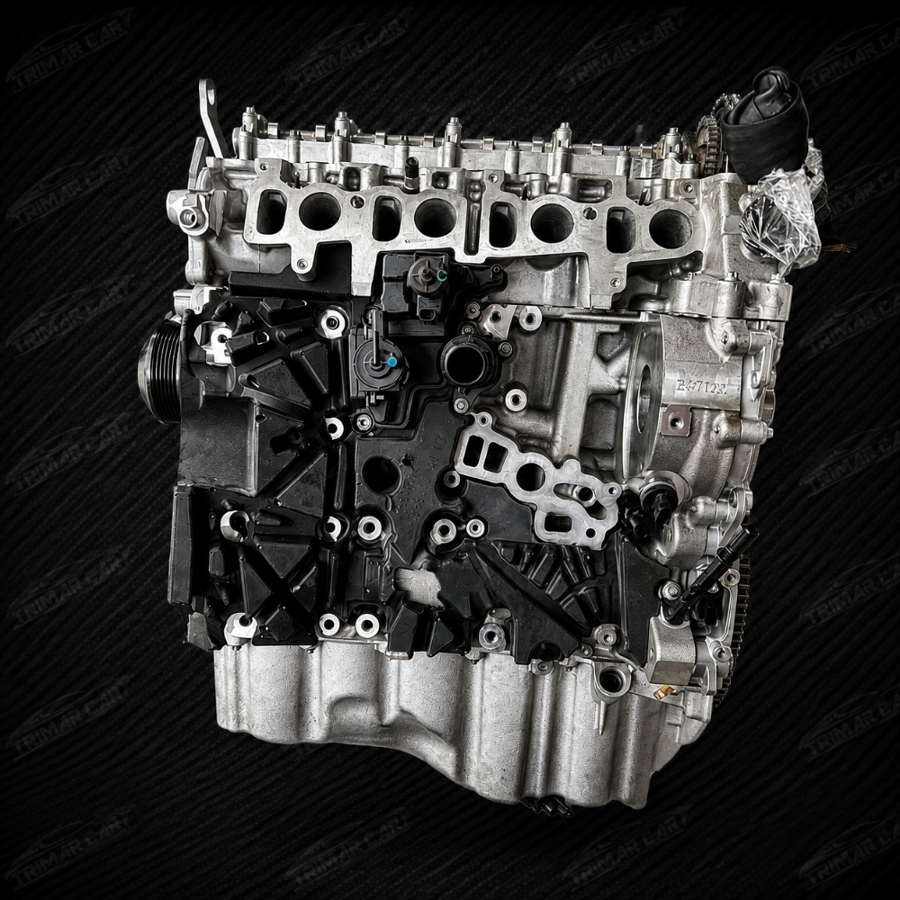 B47D20A MOTORE REVISIONATO NUDO BMW 2.0D CATENA NUOVA