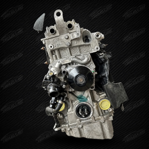 B47D20A MOTORE REVISIONATO NUDO BMW 2.0D CATENA NUOVA