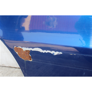 SPORTELLO PORTA PORTIERA POSTERIORE DX DESTRA FIAT PANDA 2 (169) [2003-2012]