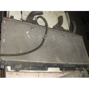 RADIATORE ACQUA FIAT PUNTO 176 1.7 D TD USATO (7760961)