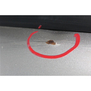 COFANO ANTERIORE FIAT MAREA WEEKEND SW (185) [1999-2002] COL GRIGIO 647