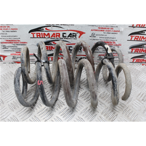 COPPIA MOLLE AMMORTIZZATORI POSTERIORI TOYOTA RAV4 3 [05-12] 2.2 177CV 130KW