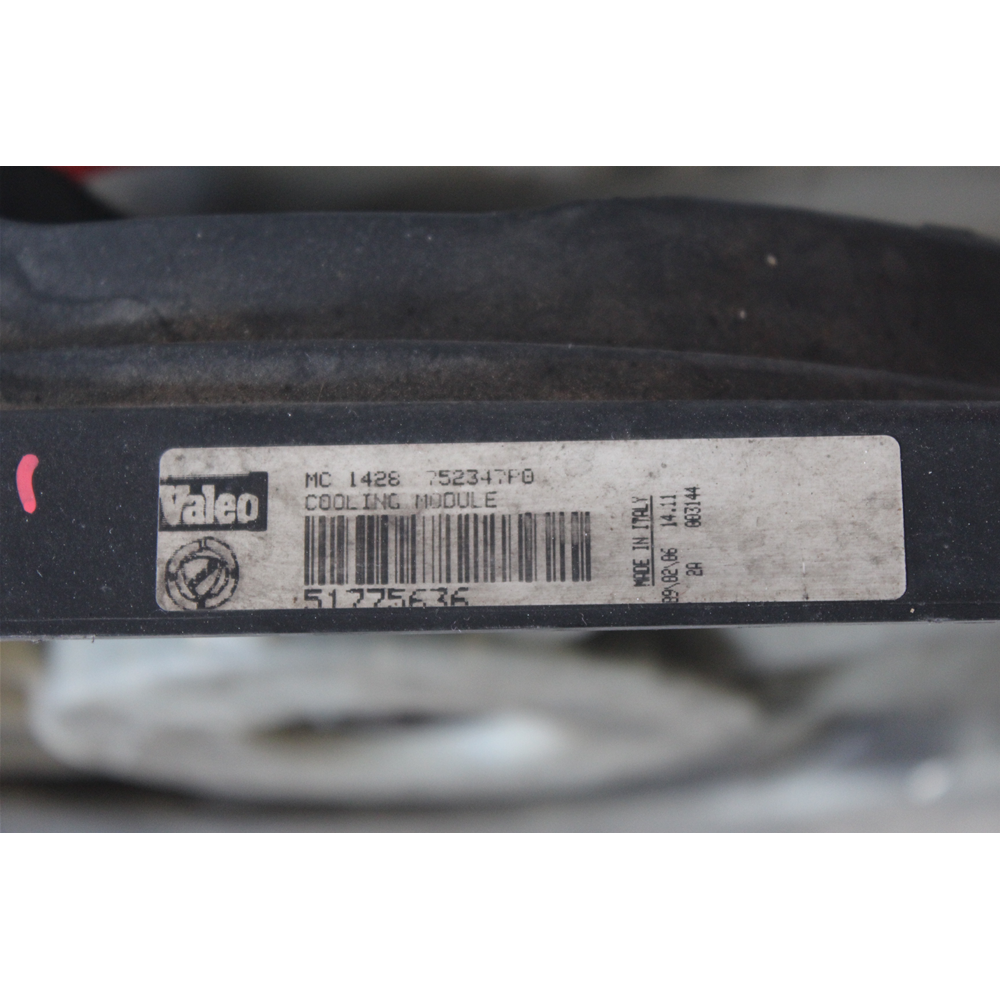 VENTOLA RADIATORE MOTORE FIAT CROMA (194) [05-11] 1.9 D 939A2000 51775636