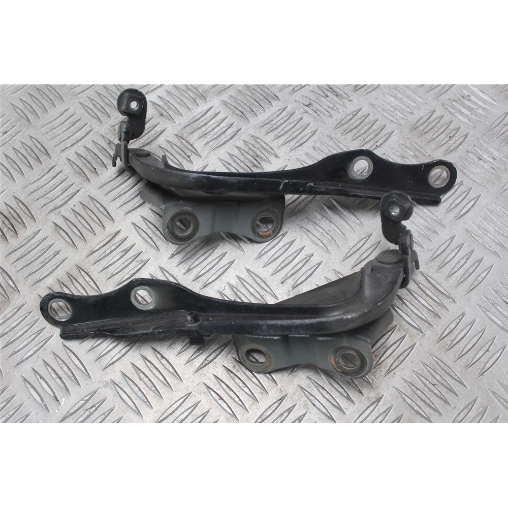 KIT CERNIERE COFANO MOTORE ANTERIORE DX SX TOYOTA RAV4 3 (A3) [2005-2012]