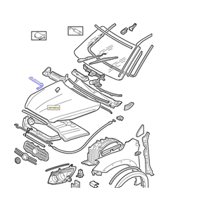 KIT CERNIERE COFANO MOTORE ANTERIORE DX SX TOYOTA RAV4 3 (A3) [2005-2012]