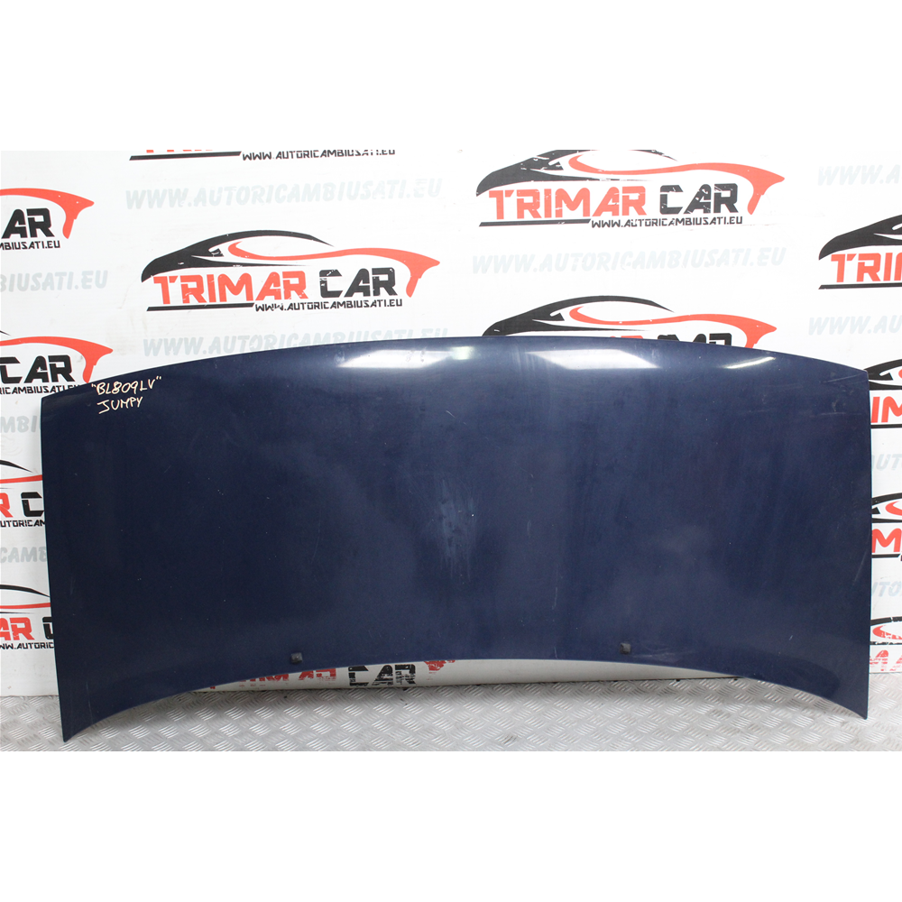 COFANO ANTERIORE CITROEN JUMPY 1 FURGONATO [1994-2003]