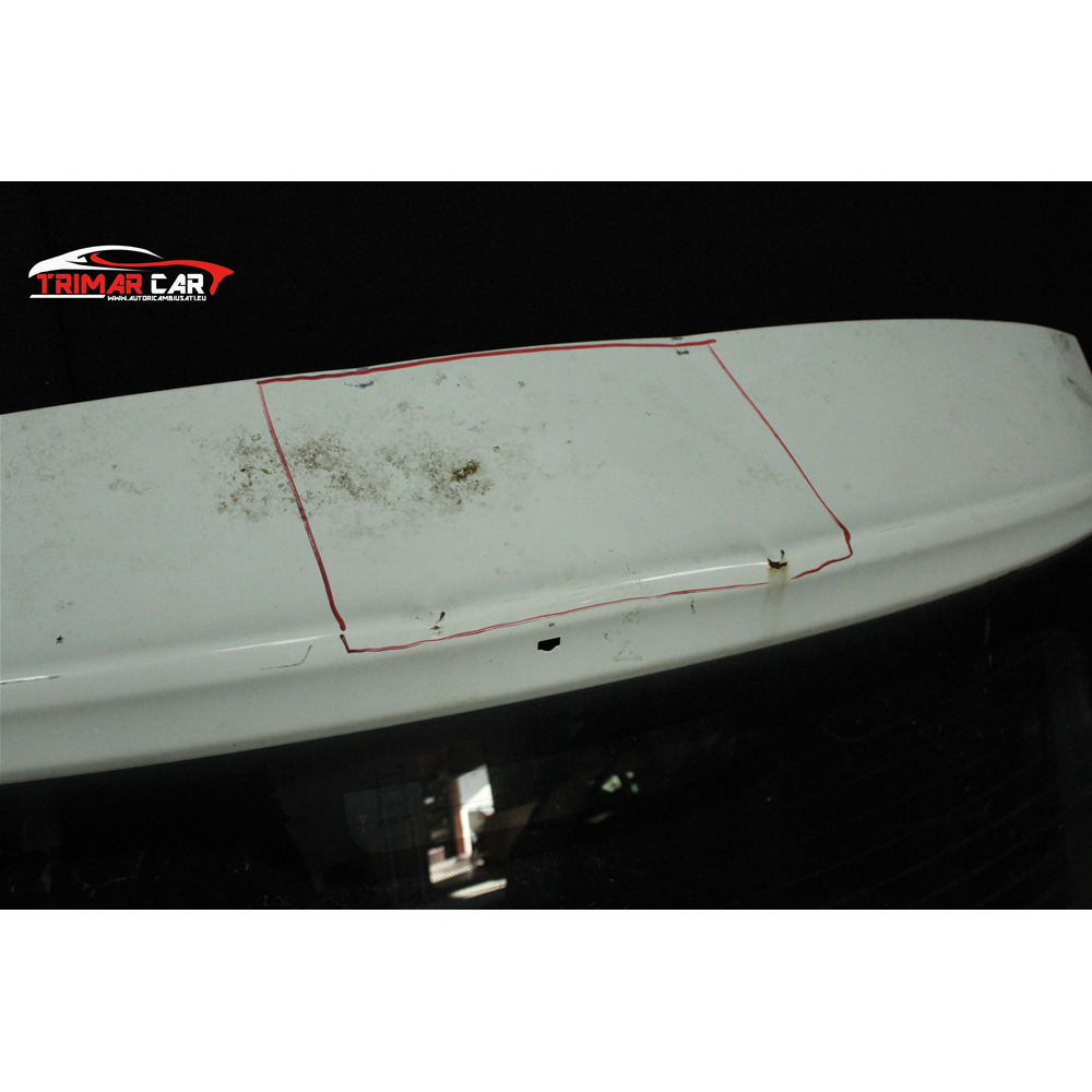 COFANO PORTELLONE POSTERIORE FIAT 500 (312) (2007 IN POI)