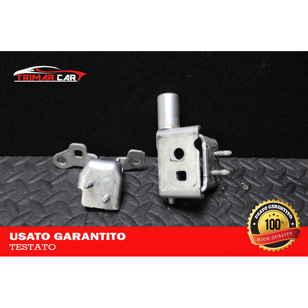 COPPIA CERNIERE PORTA POSTERIORE SX SINISTRA RENAULT CLIO 3 III (05-13) 