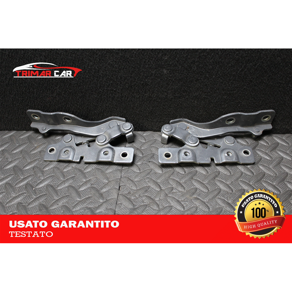 KIT CERNIERE COFANO MOTORE ANTERIORE DX SX HYUNDAI SANTA FÉ 3 (DM) (2012 IN POI)