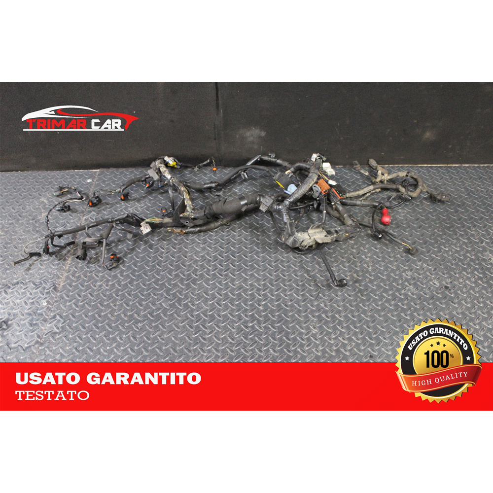 24011JD01B CAVO CAVI CABLAGGIO MOTORE NISSAN QASHQAI 1 I (J10,JJ10)(06-13) 2.0 DCI 150CV 110KW COD MOTORE: M9R