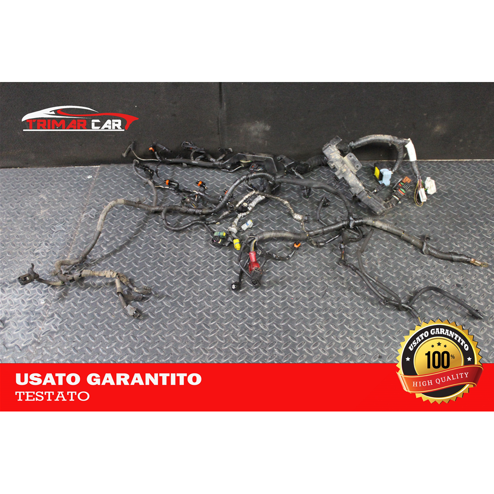 24011JD01B CAVO CAVI CABLAGGIO MOTORE NISSAN QASHQAI 1 I (J10,JJ10)(06-13) 2.0 DCI 150CV 110KW COD MOTORE: M9R