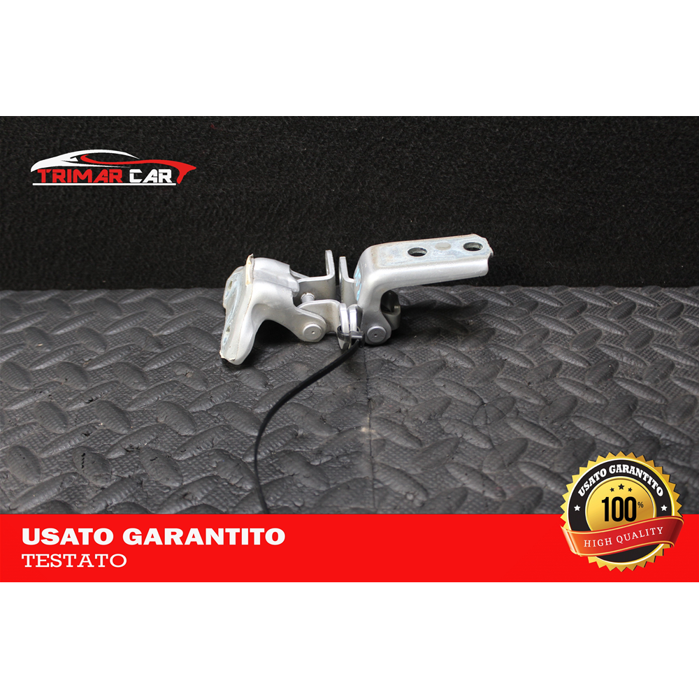 687600H010 COPPIA CERNIERE PORTA POSTERIORE SINISTRA TOYOTA AURIS SW (E18)(2013 IN POI)  