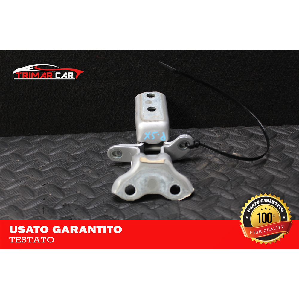 687600H010 COPPIA CERNIERE PORTA POSTERIORE SINISTRA TOYOTA AURIS SW (E18)(2013 IN POI)  