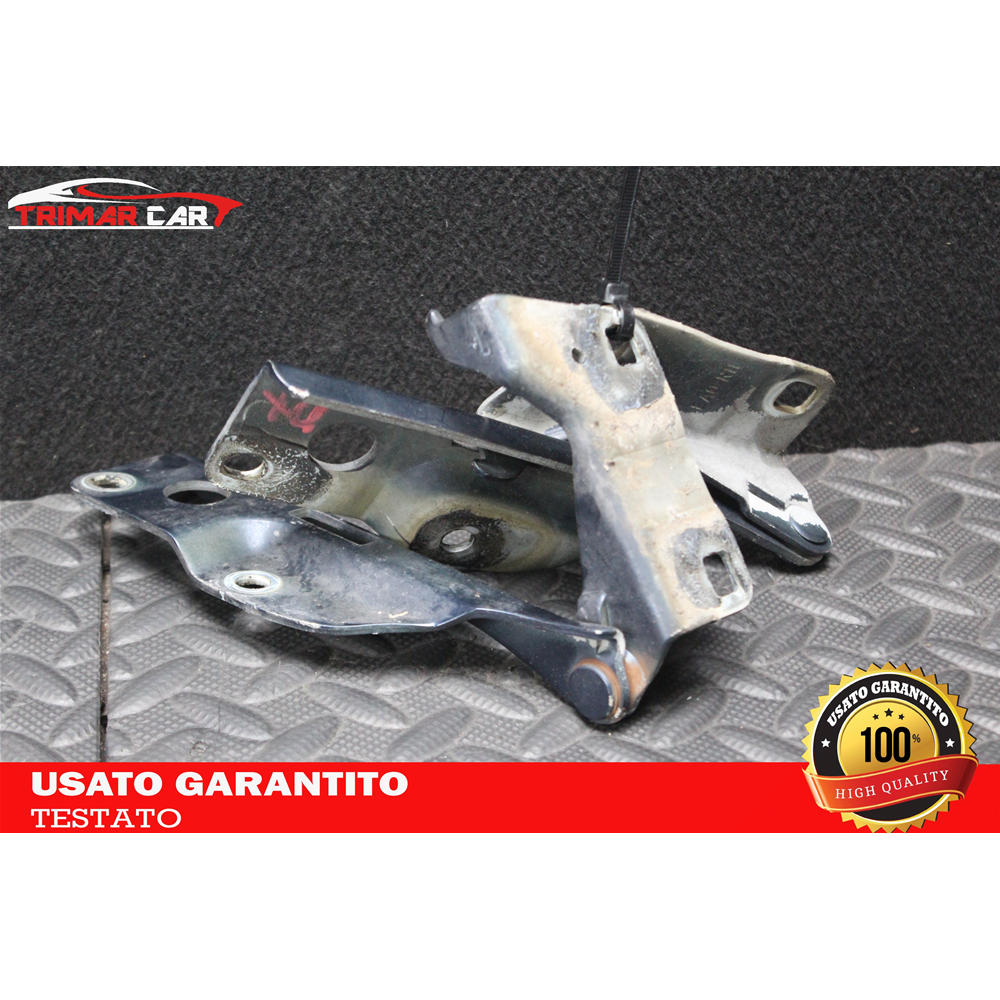 KIT CERNIERE COFANO MOTORE ANTERIORE DX SX NISSAN NP300 NAVARA (D40)(2004 IN POI) 2.5 DCI 174CV 128KW COD MOT. YD25DDTI