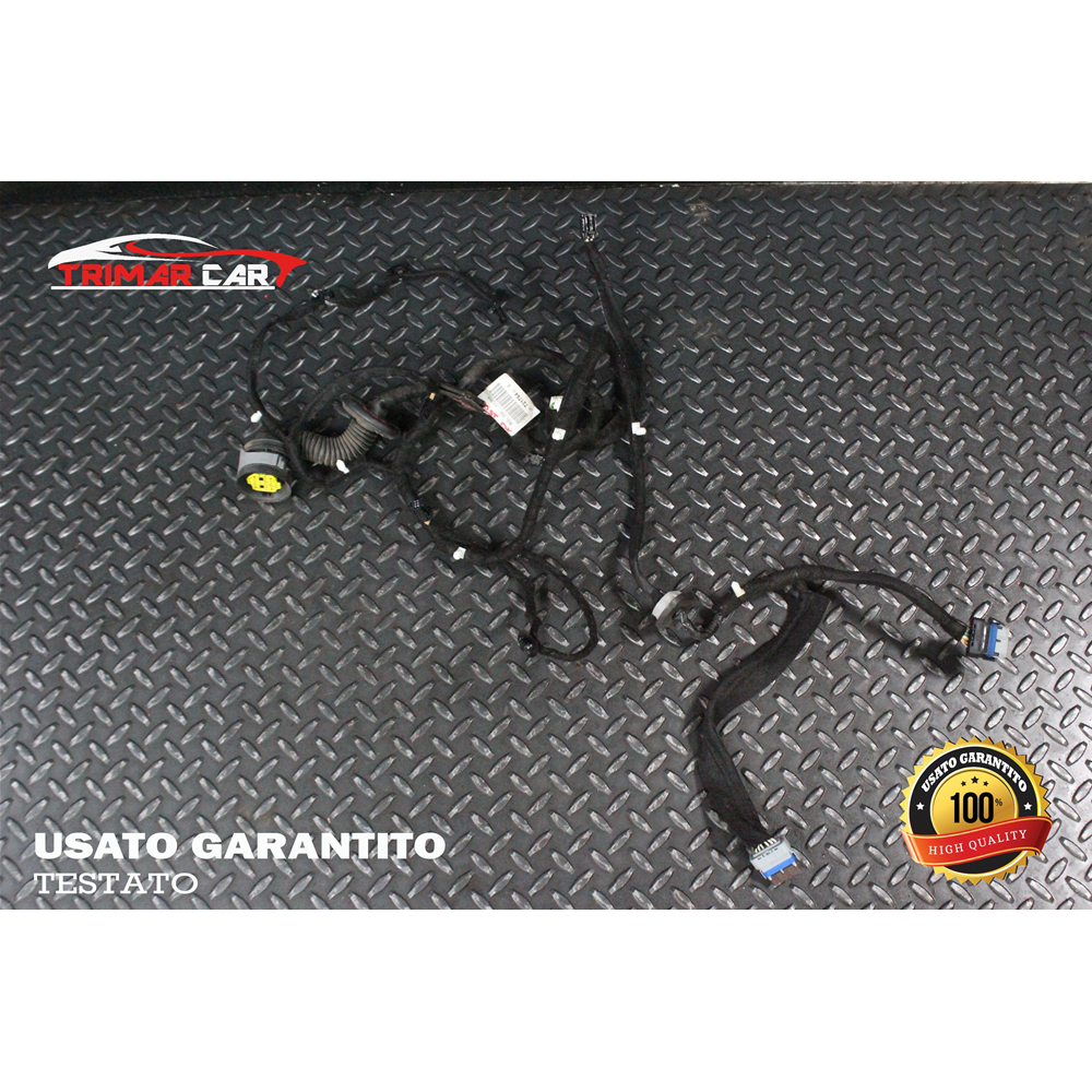 9672176480 CAVI CABLAGGIO PORTA POSTERIORE DESTRA CITROEN C5 3 III BREAK (RW)(08-17) 2.2 HDI 200 204CV 150KW COD MOT; 4HL