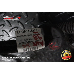 9675031080 CAVI CABLAGGIO PORTA ANTERIORE SINISTRA CITROEN C5 3 III BREAK (RW)(08-17) 2.2 HDI 200 204CV 150KW COD MOT; 4HL