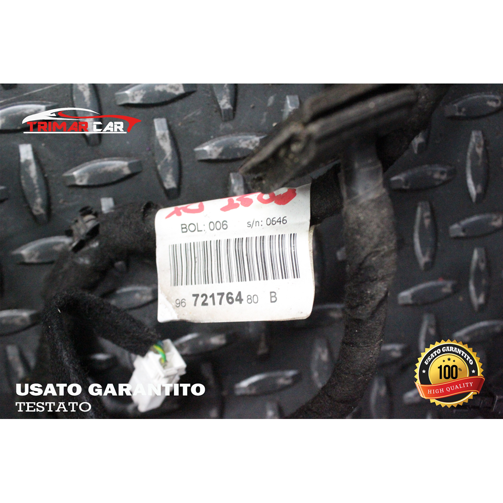 9672176480 CAVI CABLAGGIO PORTA POSTERIORE DESTRA CITROEN C5 3 III BREAK (RW)(08-17) 2.2 HDI 200 204CV 150KW COD MOT; 4HL