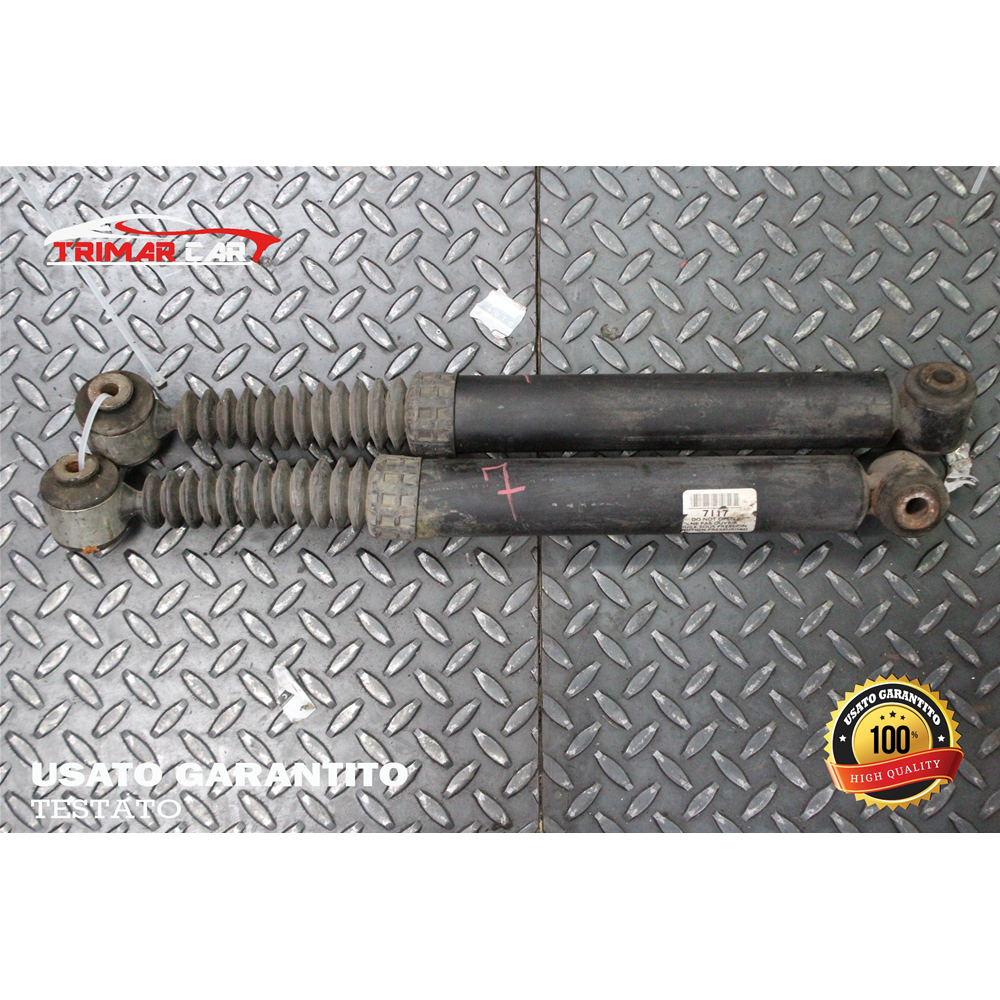 307117  COPPIA AMMORTIZZATORI POSTERIORI DX SX PEUGEOT 207 (WA,WC)(06-15)