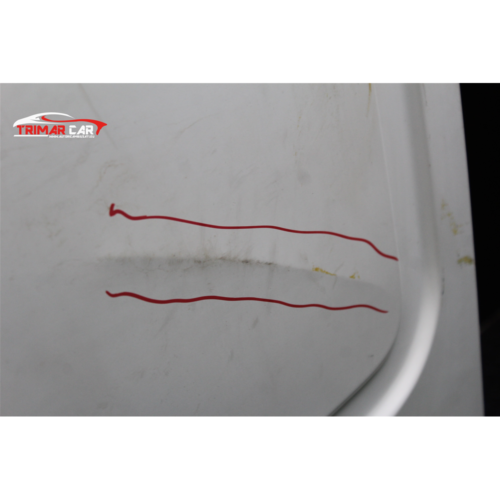 PORTELLONE PORTA CARICO POSTERIORE SINISTRA RENAULT KANGOO (KC0/1)[98-08]3P