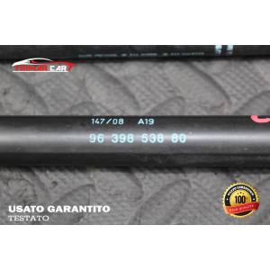 9639853880 COPPIA MOLLE COFANO PORTELLONE POSTERIORE CITROEN C3 1 I (FC)(2002-2009)